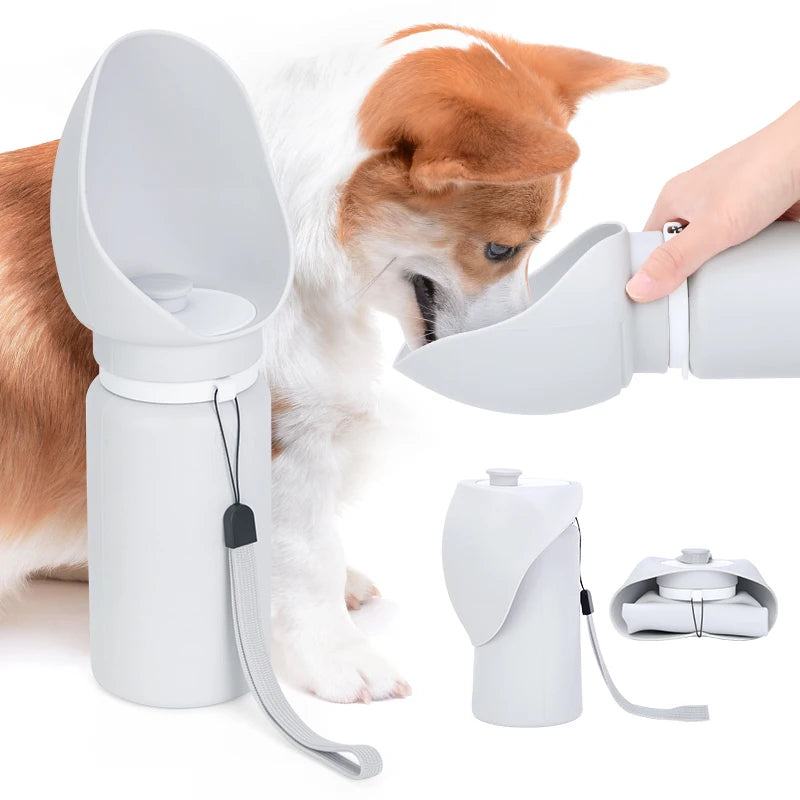 Hydrate Your Dog Anywhere - No Spills, No Mess